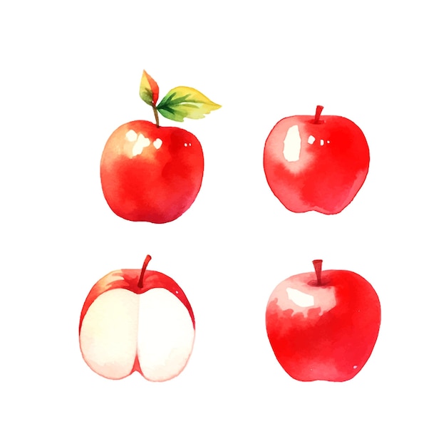 Vector acuarela de manzana roja en estilo dibujado a mano sobre fondo blanco dibujo de boceto alimentación saludable fondo dibujado a mano de acuarela alimentos orgánicos