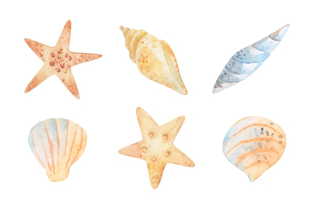 Vector acuarela mar conjunto de estrellas de mar conchas marinas concha mundo submarino mano dibujo imágenes prediseñadas de verano