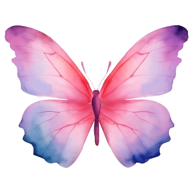 acuarela mariposas ilustración clipart