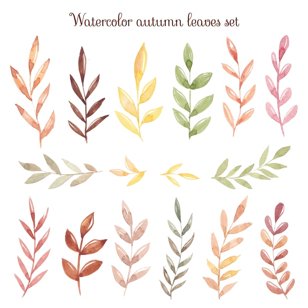 Vector acuarela otoño mano dibujar hojas