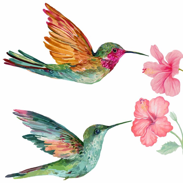 Vector acuarela de pájaro colibrí y flor de hibisco