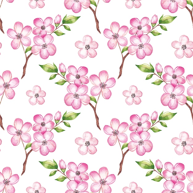 Acuarela patrón de flor de cerezo