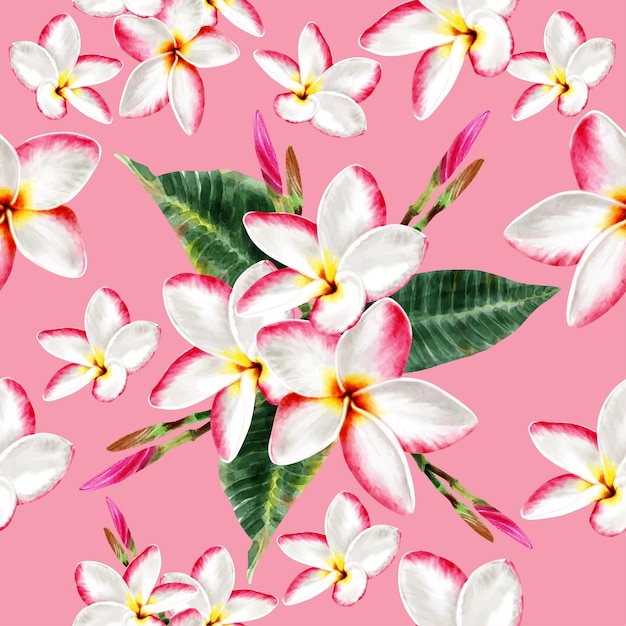 Acuarela de patrones sin fisuras flores de frangipani rosa.