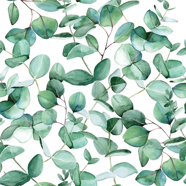 acuarela de patrones sin fisuras con hojas de eucalipto sobre un fondo blanco estampado vintage botánico