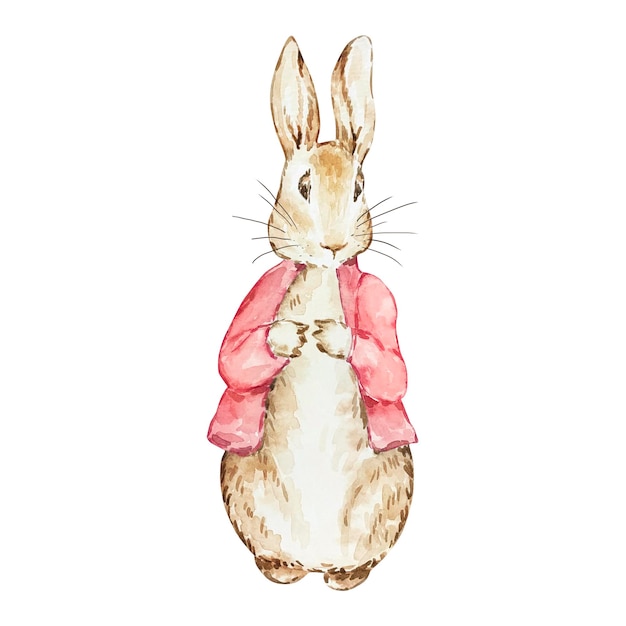 Acuarela Peter Rabbit en chaqueta roja