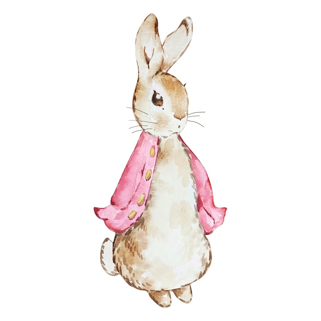 Acuarela Peter Rabbit en chaqueta rosa.