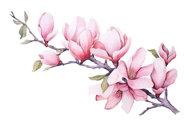 Acuarela pintura rosa flores sakura naturaleza botánica colección decorativa Vector ilustración colección aislada conjunto de hojas tropicales