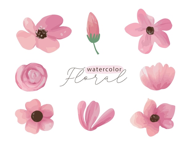 Vector acuarela rosa elemento floral conjunto de flores silvestres hierbas hojas ramas aislado botánico