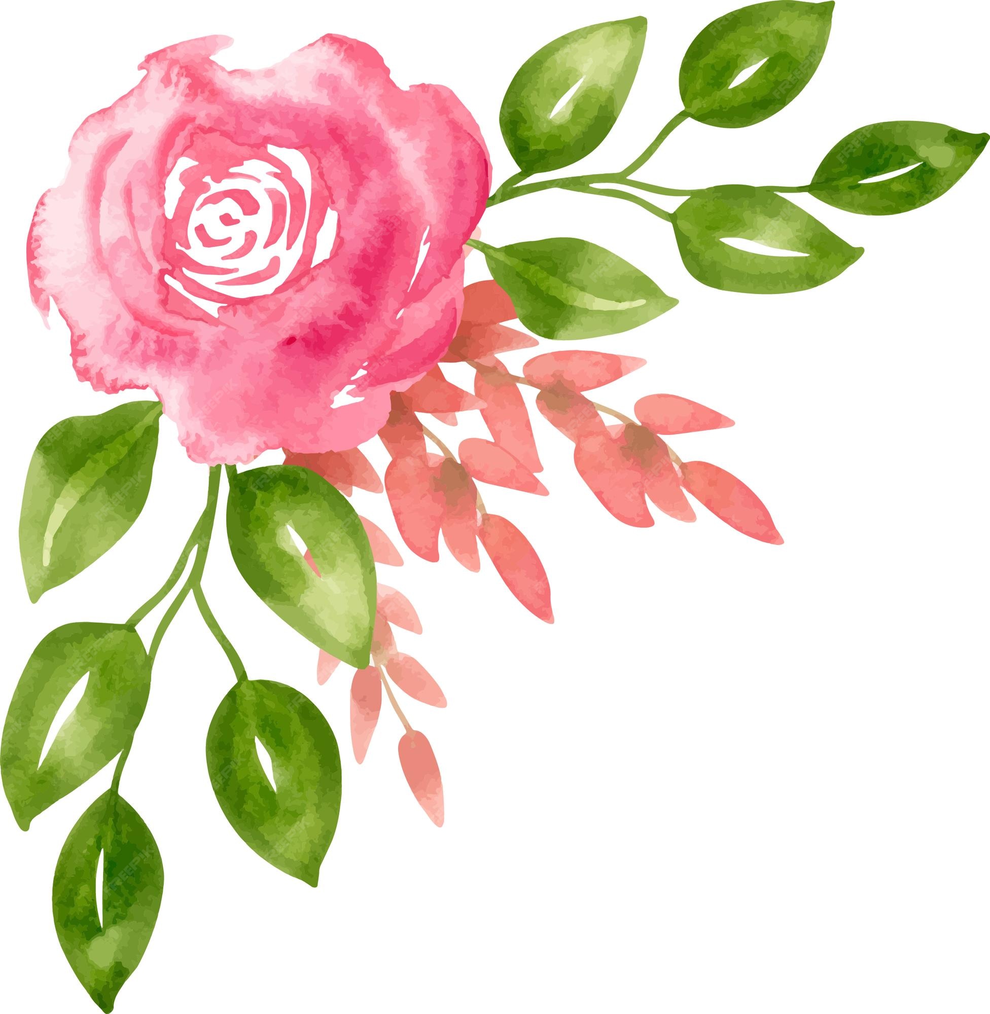 Acuarela rosa flor con hojas verdes composición de ramo de esquina para invitaciones de boda | Vector Premium Acuarela rosa flor con hojas verdes composición de ramo de esquina para invitaciones de boda | Vector Premium
