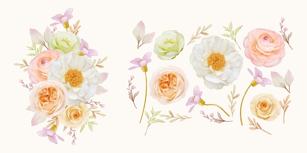 Acuarela rosa peonía ranunculus y colección de flores de dalia.