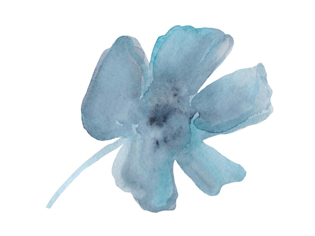 Acuarela de una sola flor dibujada a mano Ilustración botánica Planta dibujado a mano para la decoración