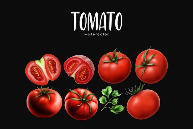 acuarela, tomate, ilustración, conjunto, en, aislado, fondo negro