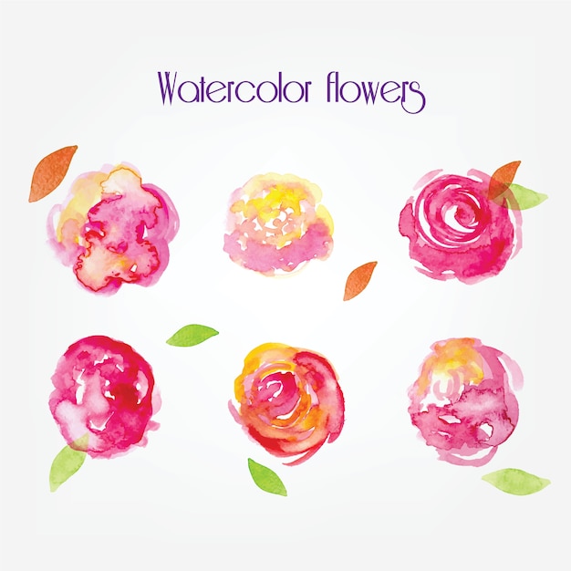 Acuarela vector flores