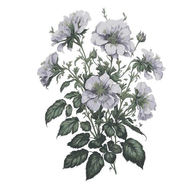 Acuarela Vector Geranium oxonianum Clipart ramo floral editable