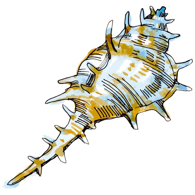 Acuarela de vector con ilustración de línea de concha de colores