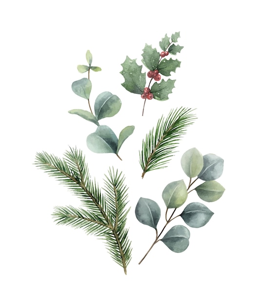 Acuarela vector tarjeta de Navidad con ramas de abeto y eucalipto