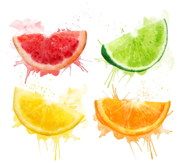 Acuarela verano fresco conjunto de ilustraciones pomelo lima limón y rodajas de naranja