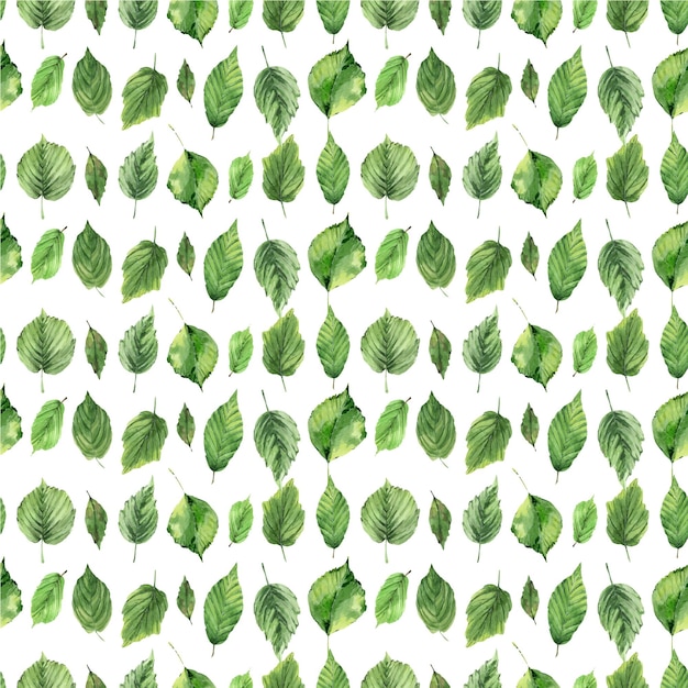 Acuarela verde deja patrón transparente