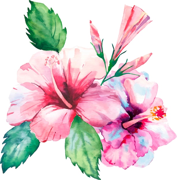 Vector acuarelas hawaii tropicales hibiscos florales