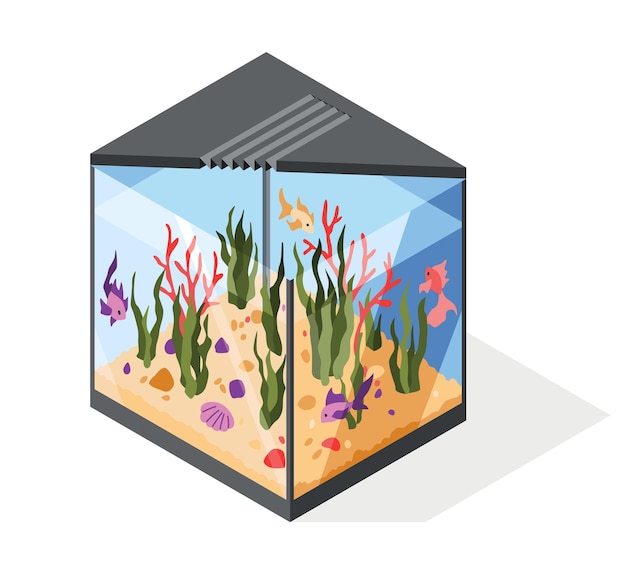 Acuario isométrico en estilo minimalista con peces de colores y un conjunto de corales de elementos submarinos caja de acrílico transparente para exhibición vidrio de escaparate de ilustración vectorial sobre fondo blanco