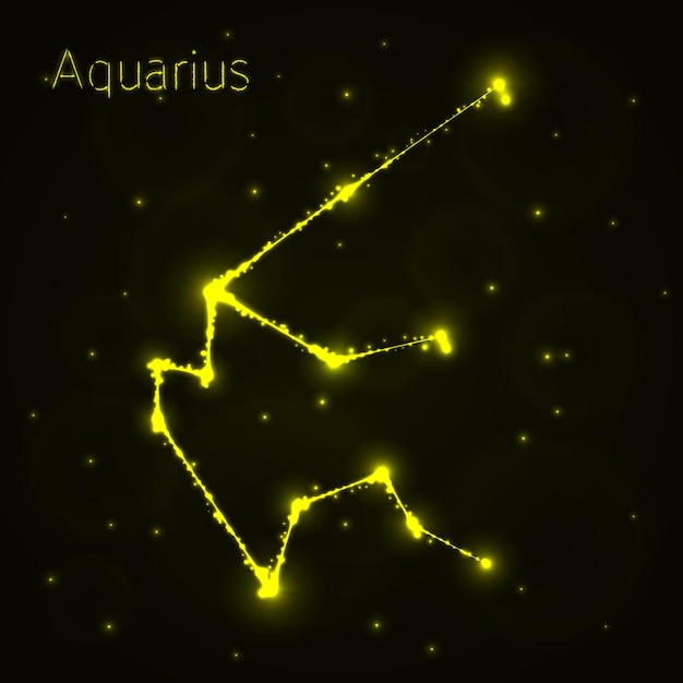 Acuario silueta de luces