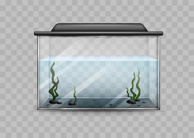 Acuario transparente con plantilla aislada de agua y algas.