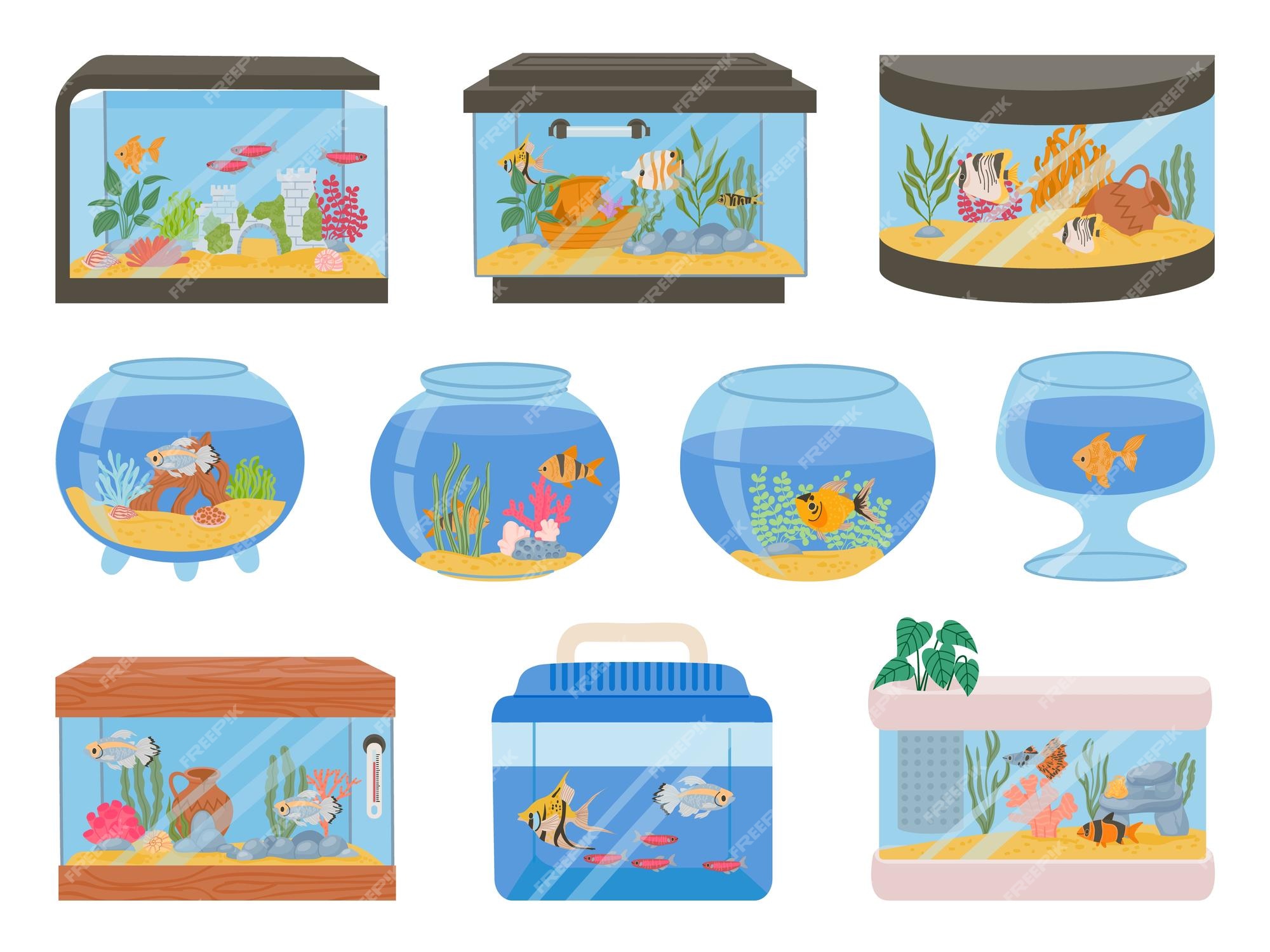Acuarios caseros de dibujos animados con peces corales plantas y decoración tanque de acuario con mascotas submarinas y algas juego de vectores de peceras de vidrio | Vector Premium Acuarios caseros de dibujos animados con peces corales plantas y decoración tanque de acuario con mascotas submarinas y algas juego de vectores de peceras de vidrio | Vector Premium