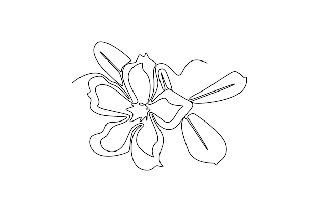 adenio de belleza fresca para el logotipo del jardín póster impresible concepto de flores de rosas decorativas del desierto