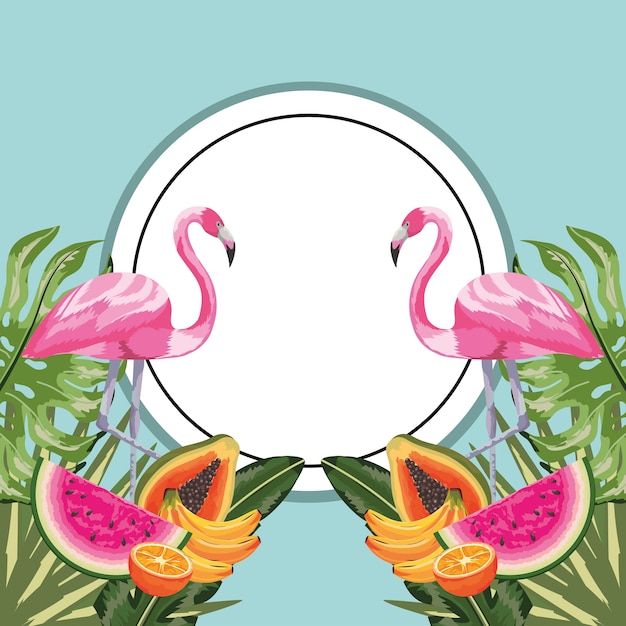 Vector adhesivo circular con flamenco y frutas tropicales.