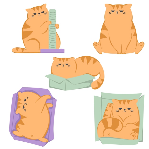 Vector adhesivo de gato lindo conjunto de vectores de gato