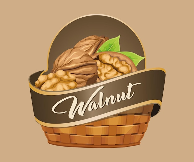 Adhesivo vectorial de nuez