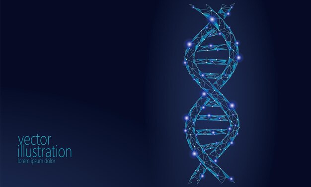 Vector adn 3d estructura de la molécula química baja poli línea de puntos del triángulo poligonal parte de la célula sana