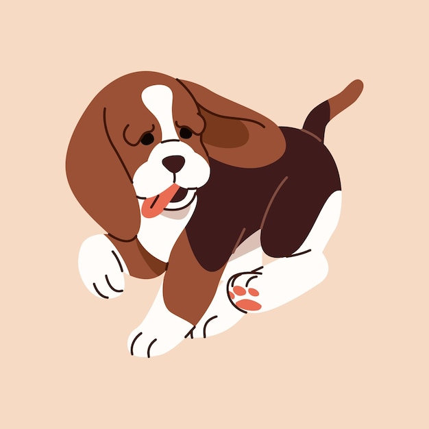 El adorable cachorro de beagle inglés juega el perro de raza de caza pequeño y lindo corre el cachorro juguetón se divierte el cacherón muestra la lengua el cachorros de perro de olor tricolor mascota animal doméstico ilustración vectorial aislada plana