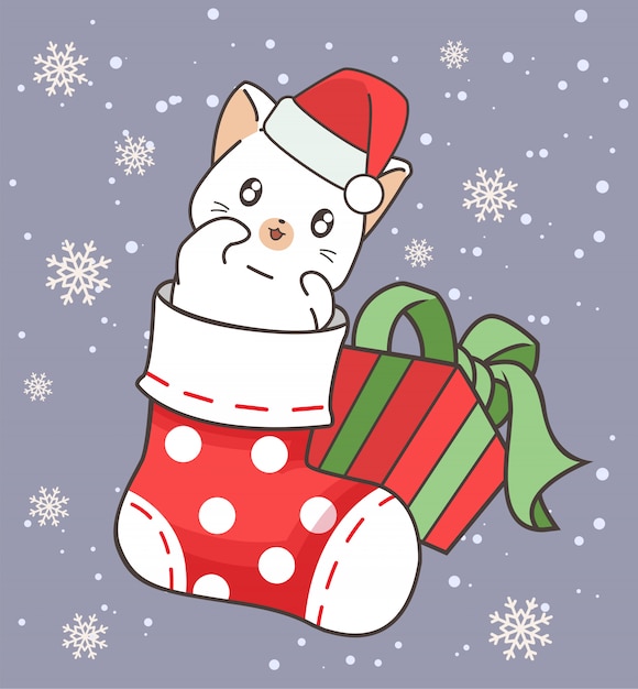 Adorable gato está en un calcetín y un regalo en Navidad
