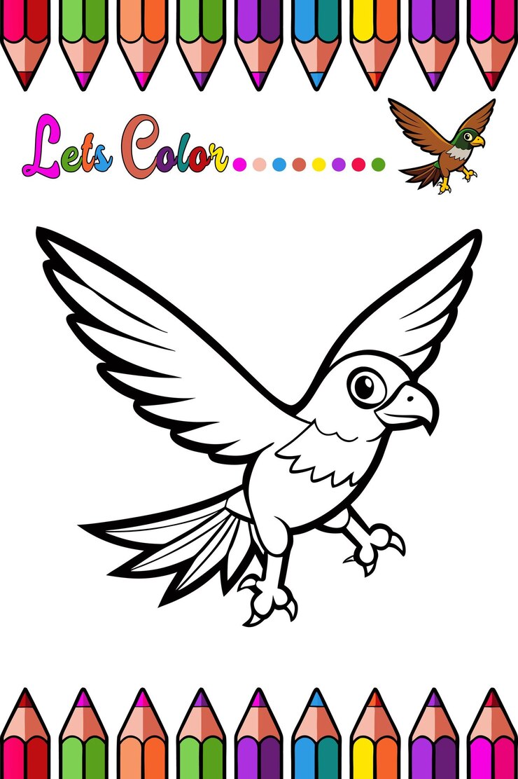 Adorable Hawk Página para colorear para niños Divertida e imprimible dibujos animados de pájaros Contorno para aprendizaje creativo