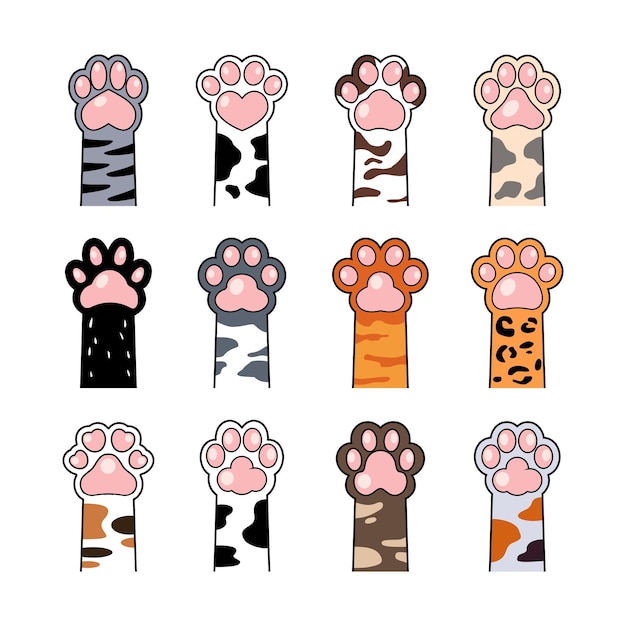 adorable ilustración del icono vectorial de la pata de gato y perro