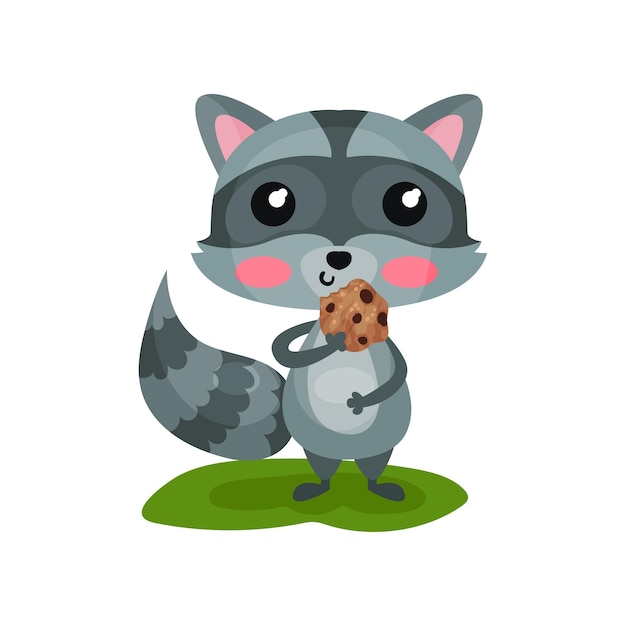 Adorable mapache gris comiendo galleta sabrosa y acariciando su vientre Icono de animal del bosque Diseño para pegatina o libro para niños