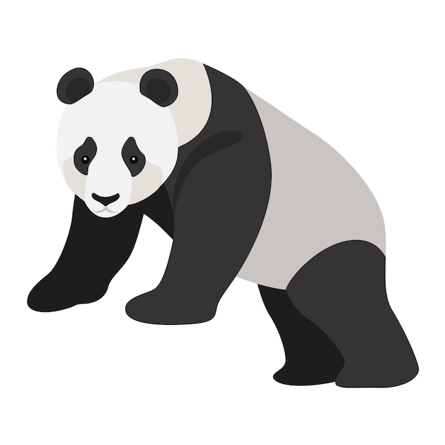 El adorable panda gigante