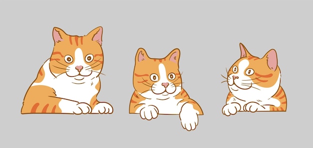 Los adorables gatos naranjas de dibujos animados mirando