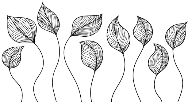 Adorno floral de hojas Dibujo vectorial lineal aislado sobre fondo blanco