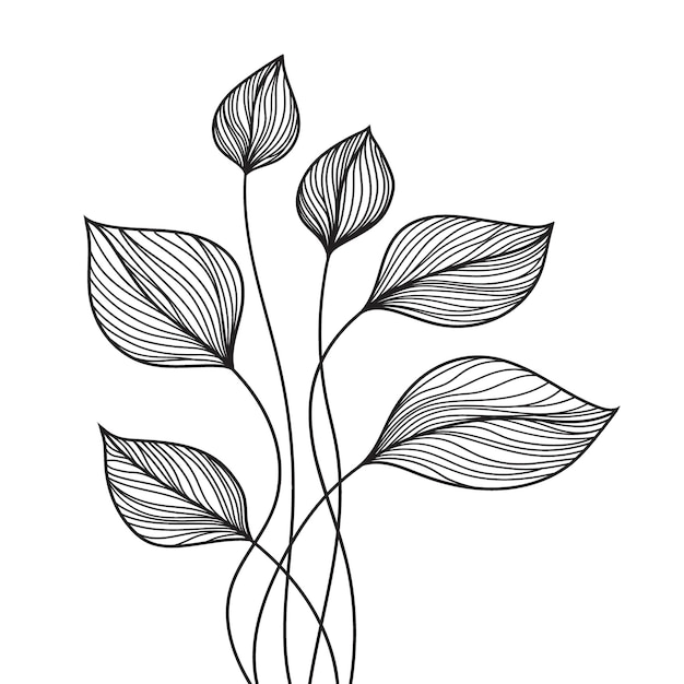 Adorno floral de hojas Dibujo vectorial lineal aislado sobre fondo blanco