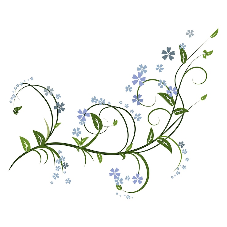 Vector adorno floral vintage elemento decorativo dibujado a mano