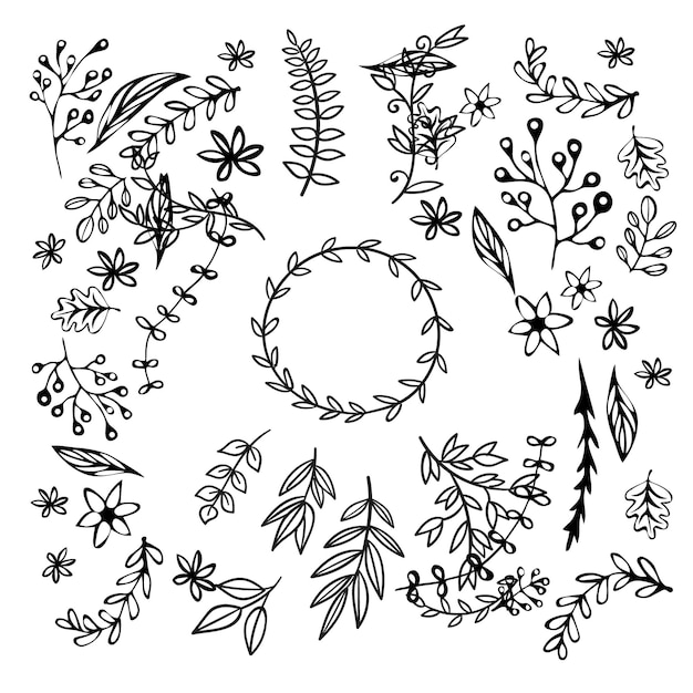 Adornos de álbum de boda dibujados a mano