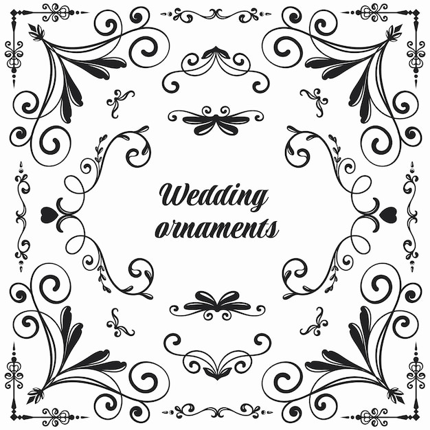 Vector adornos de álbum de boda dibujados a mano