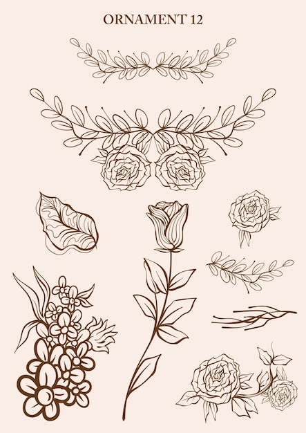 Adornos decorativos vectoriales florales