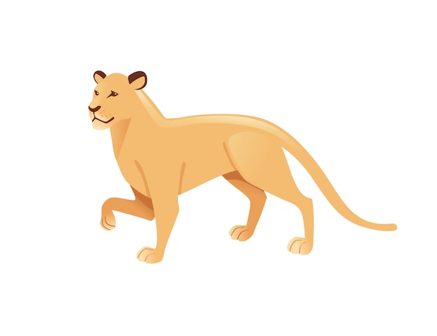 Adulto león africano salvaje gato depredador hembra león dibujos animados lindo animal diseño plano vector ilustración aislado sobre fondo blanco