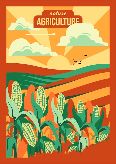 Vector afiche de agricultura y agricultura con una ilustración de vector de paisaje de maizal para fondo de afiche