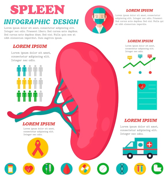 Afiche infográfico con bazo e íconos médicos.