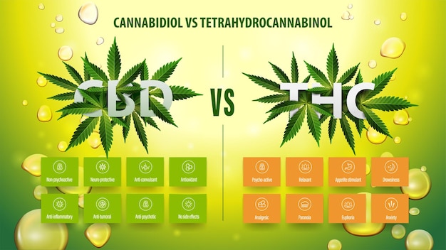 Afiche de información verde de cbd vs thc con infografía y lista de diferencias