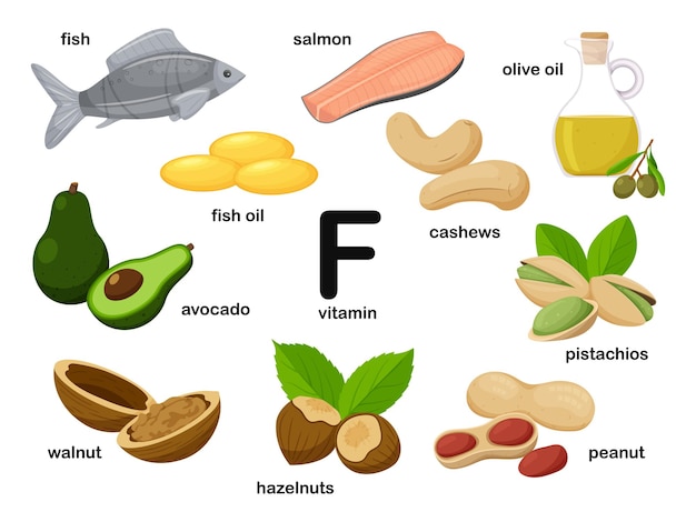 Afiche rectangular con productos alimenticios que contienen vitamina F Ácidos linolénicos y araquidónicos Dieta médica infografía de alimentación saludable Ilustración de alimentos de caricatura plana aislada en un fondo blanco